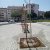 Projeto de Arborização